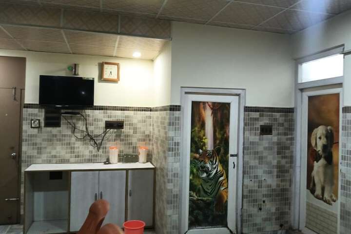Room 5 of 29