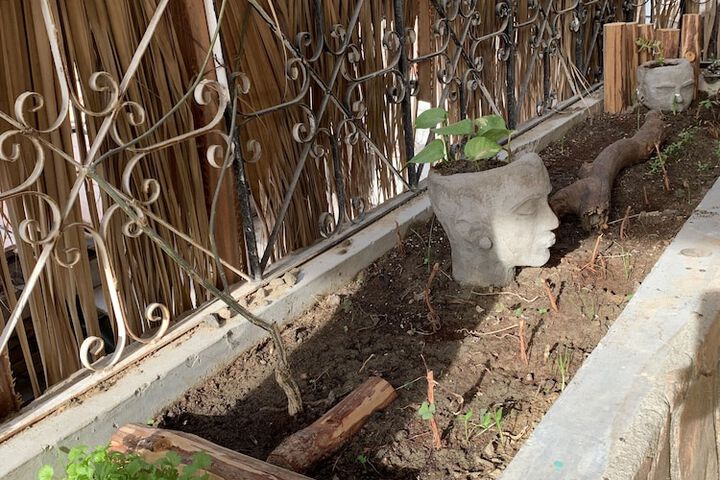 Terrace/Patio 18 of 25