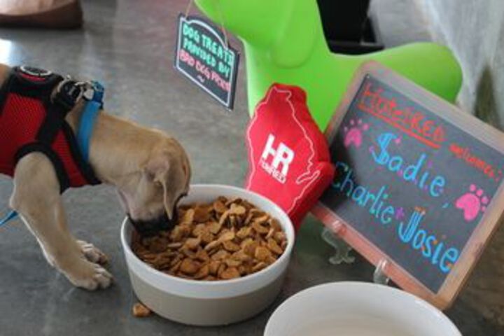 Pet Friendly 47 of 57