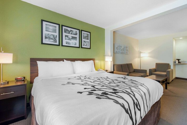 1 King Bed (18 of 18)