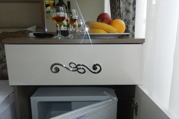 Mini-refrigerator