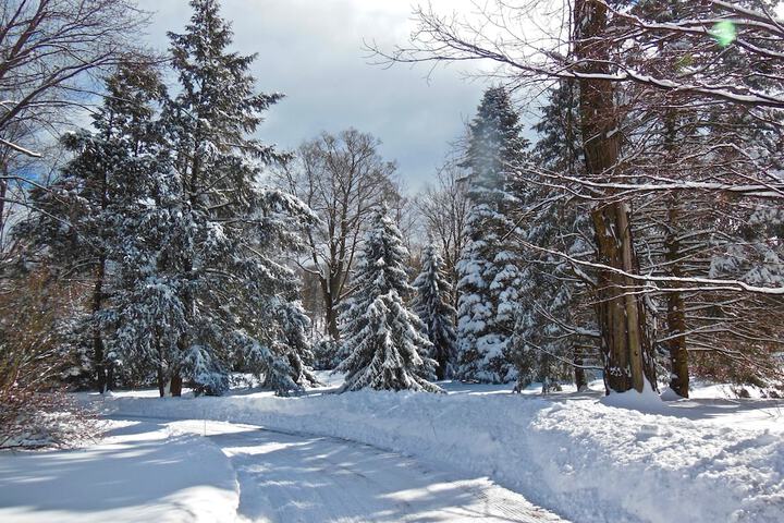 Property Grounds 19 of 37