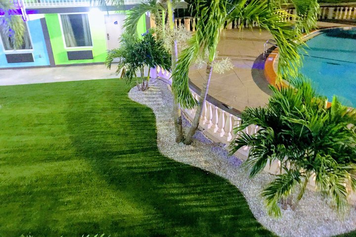 Garden view