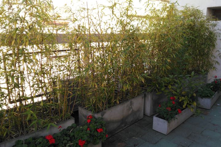 Terrace/Patio 44 of 73