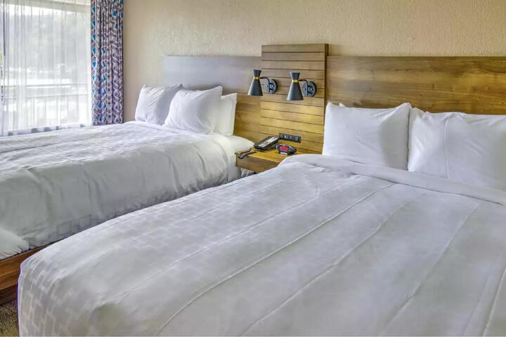 2 Queen Beds (8 of 15)