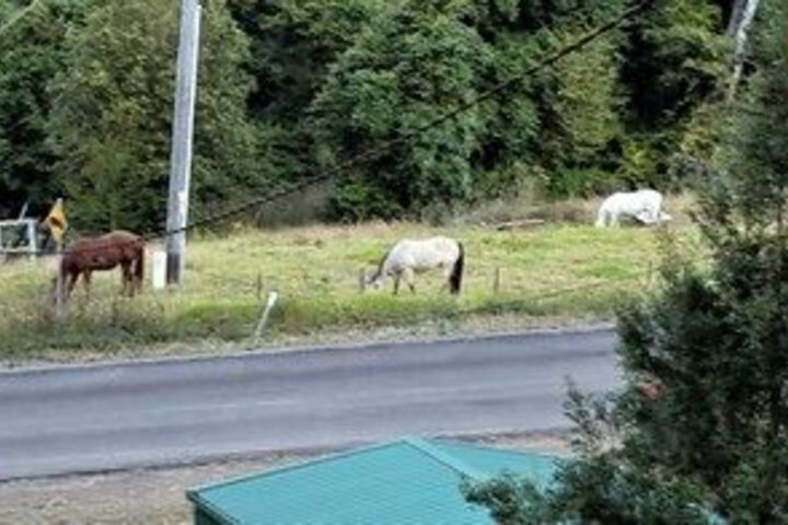 Property Grounds 24 of 28