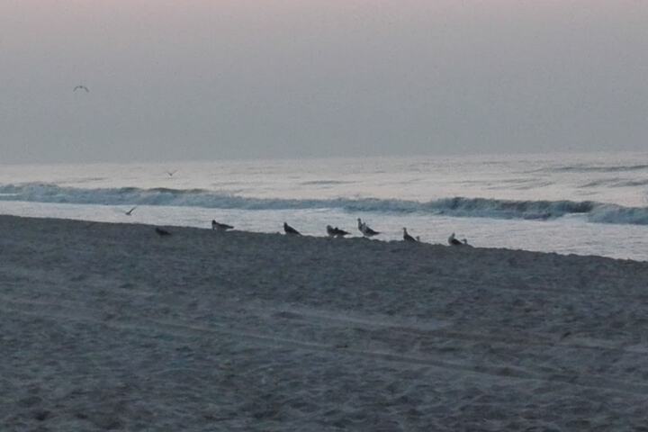 Beach 50 of 53