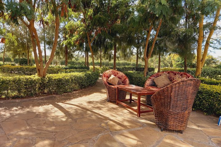 Terrace/Patio 40 of 43