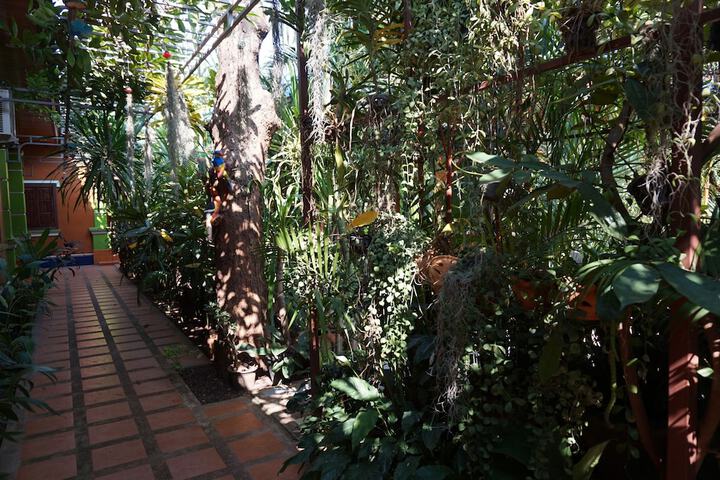 Property Grounds 19 of 23