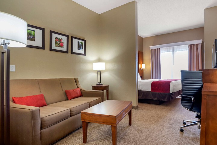 1 King Bed Suite (3 of 15)