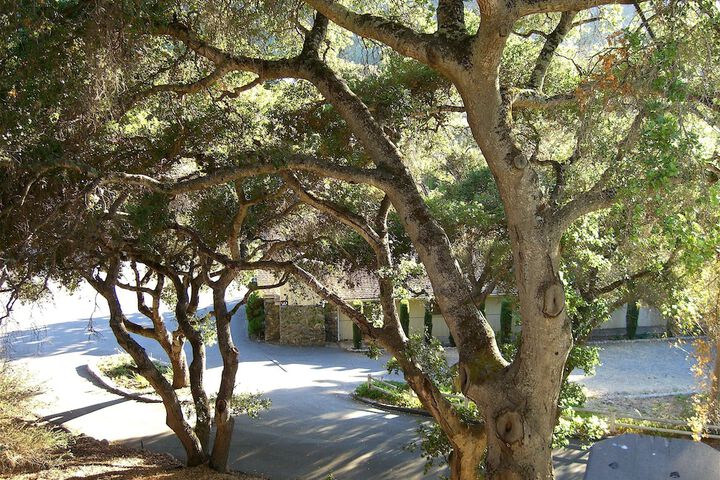 Property Grounds 54 of 64