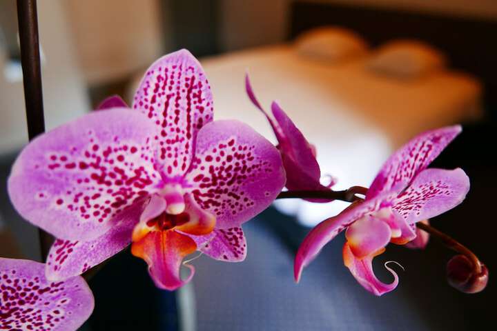 Hotel 2 of 31