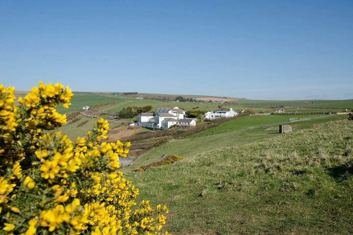 General 11 of 13