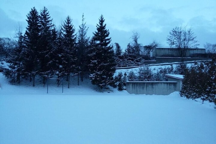 Property Grounds 50 of 59