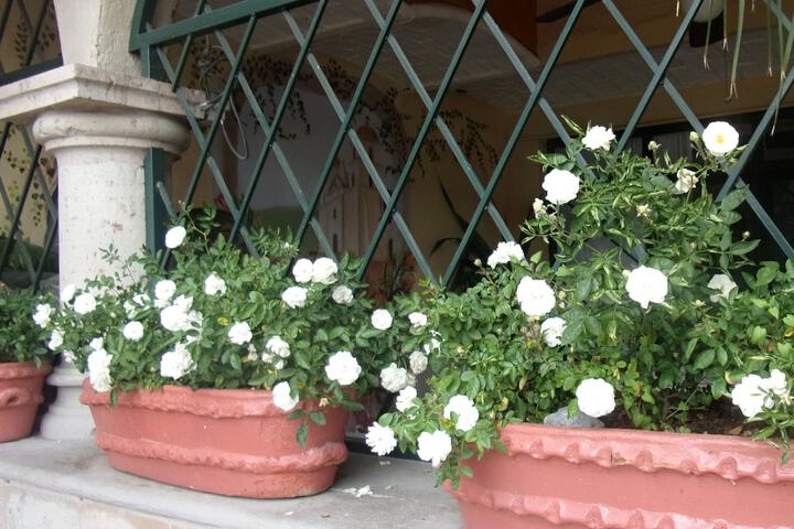 Terrace/Patio 52 of 68