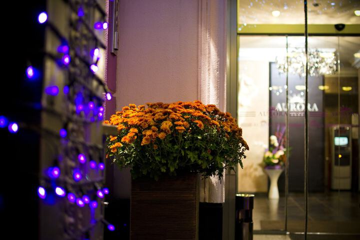 Hotel 46 of 48
