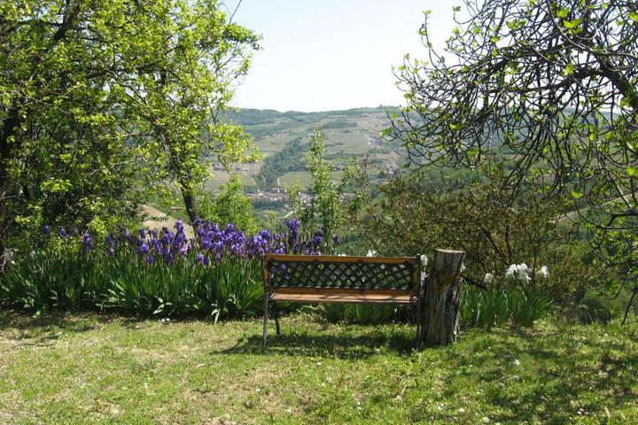 Photo 24
