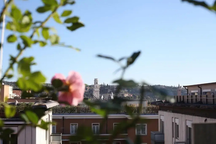 Il Garofano Rosa