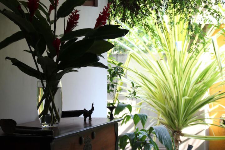 Interior detail