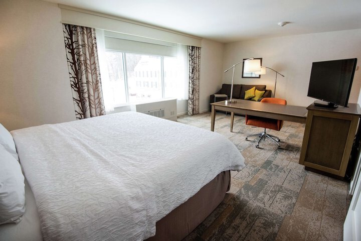 1 King Hearing Accessible with Sofa Bed (21 of 23)
