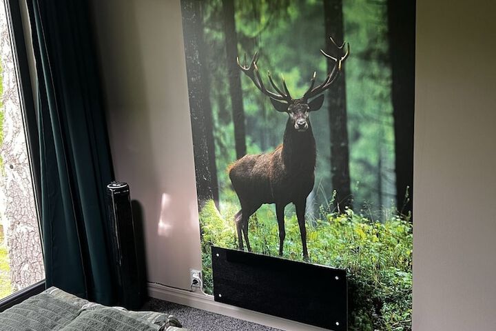 Room 11 of 50