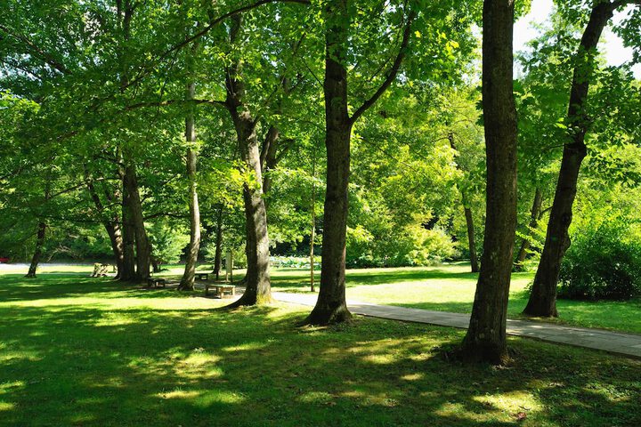 Property Grounds 77 of 81
