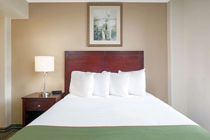 Studio Suite Queen Bed (10 of 18)