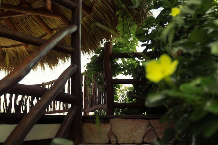 Terrace/Patio 15 of 46