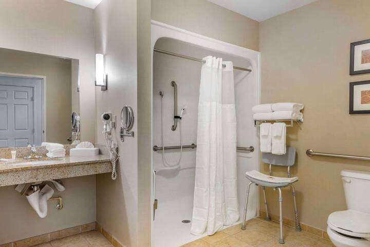 1 King Bed Suite Accessible (8 of 16)