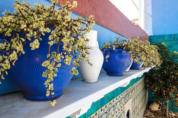 Terrace/Patio 29 of 101