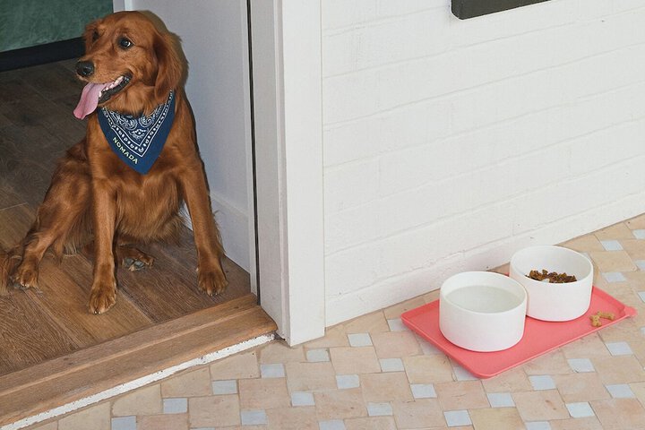 Pet Friendly 23 of 34