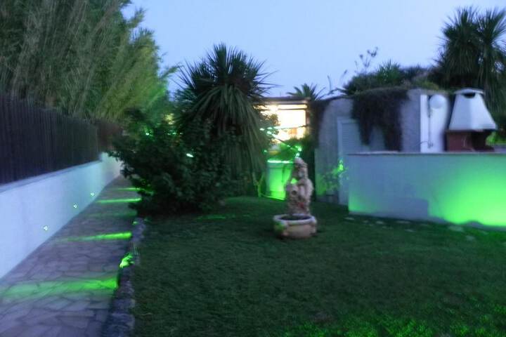 Property Grounds 13 of 23