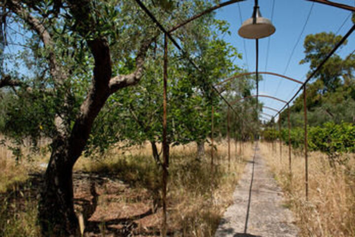 Property Grounds 25 of 35
