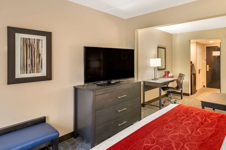 Standard King Bed Sofa (8 of 8)