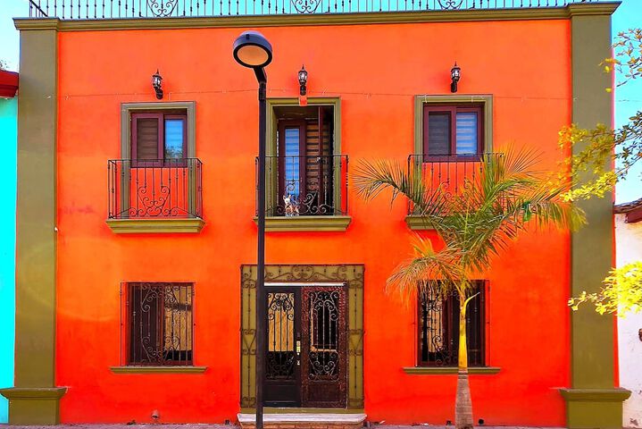 Casa del Arbol in San Blas