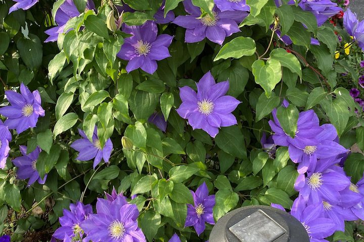 Hotel Exterior 62 of 81