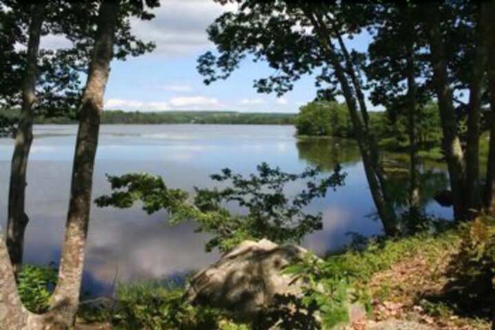Property Grounds 20 of 55