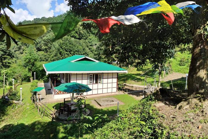 The Nettle and Fern Farmstay