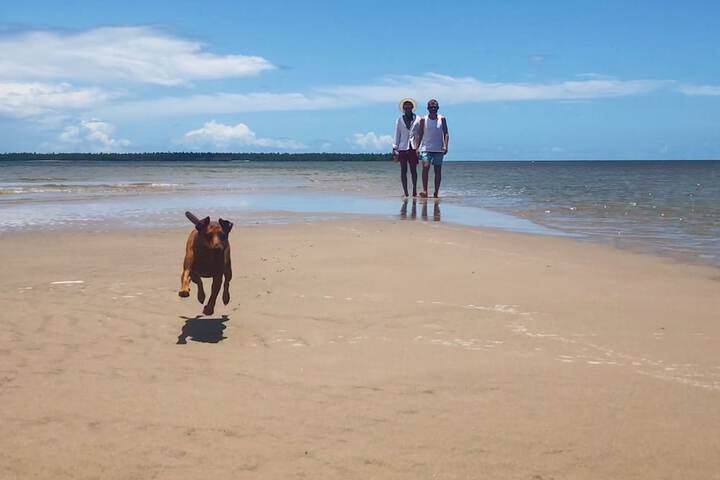 Beach 43 of 45