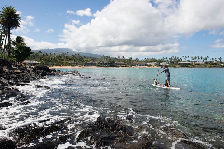 Surfing/boogie boarding