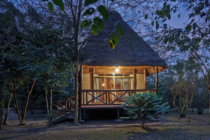 Ishasha Jungle Lodge in Ishasha