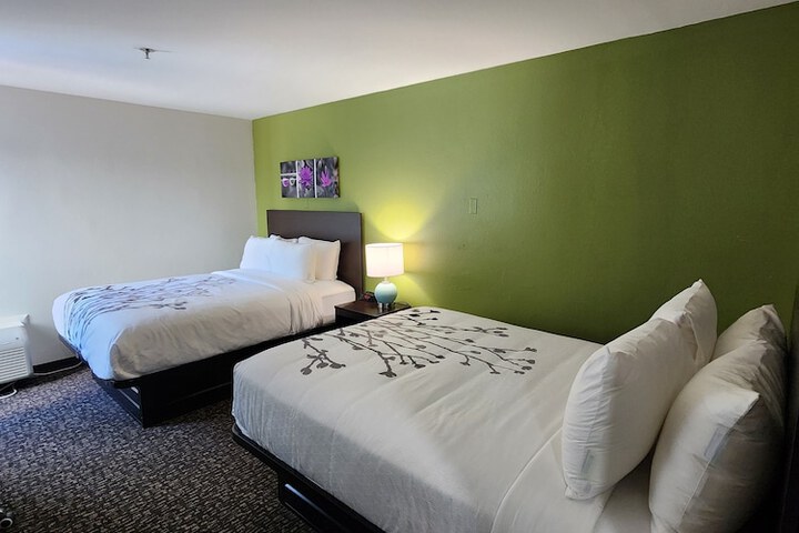 2 Queen Beds (9 of 12)