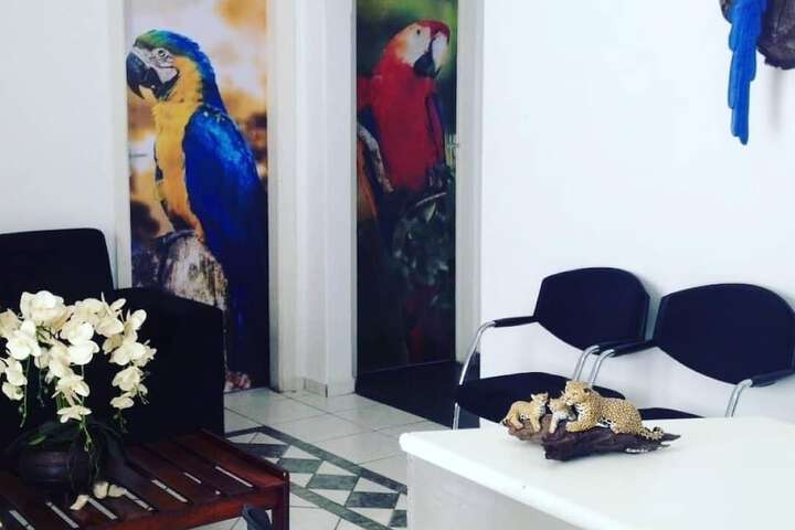 Hotel Safari Cuiaba