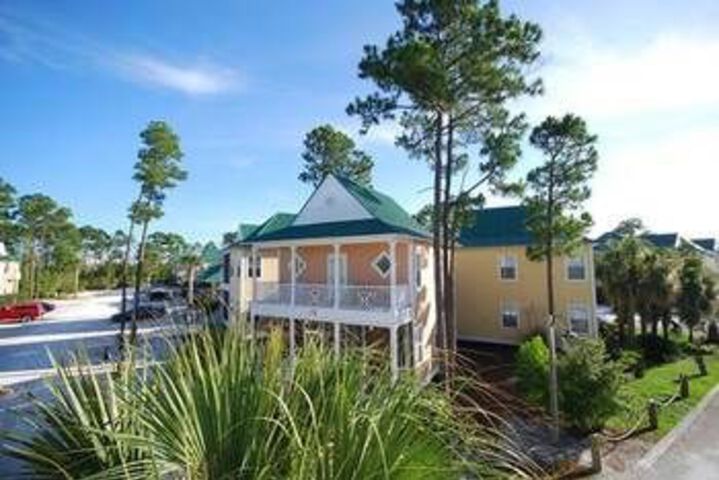 Image of Purple Parrot 29CU by RedAwning