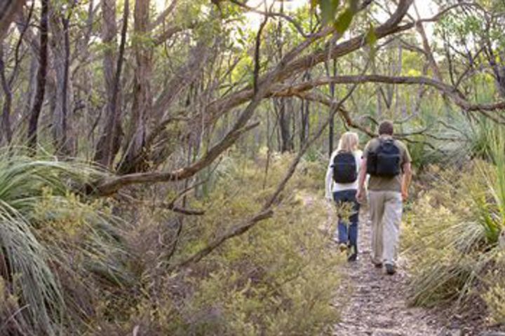 Property Grounds 55 of 67