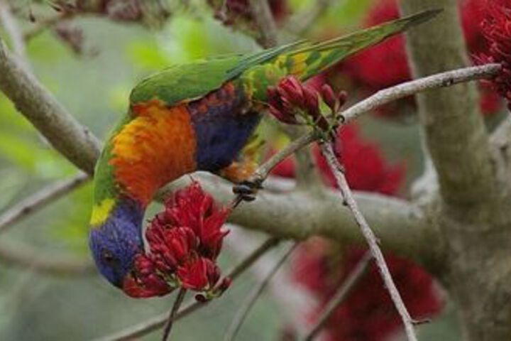 Property Grounds 57 of 62