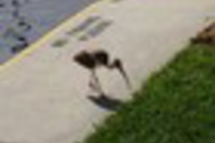 Property Grounds 194 of 207