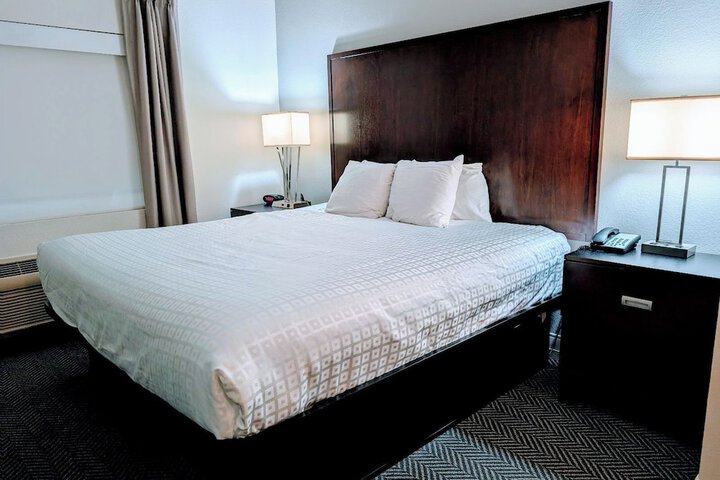 1 King Bed Accessible (2 of 4)