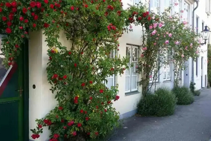 GAESTEHAUS AM KRAEHENTEICH