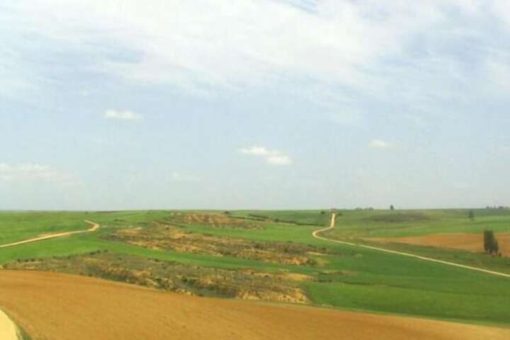 Golf 17 of 44